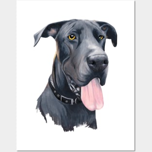 Great Dane Posters and Art